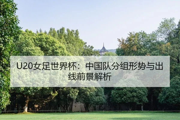 nv-zu-shi-jie-bei-zhong-guo-dui-fen-zu-xing-shi-yu-chu-xian-qian-jing-jie-xi-2-295.jpg